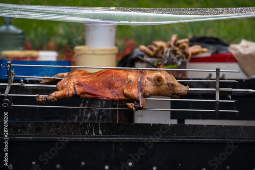 Suckling pig on a spit meat food health fat barbeq fire photo