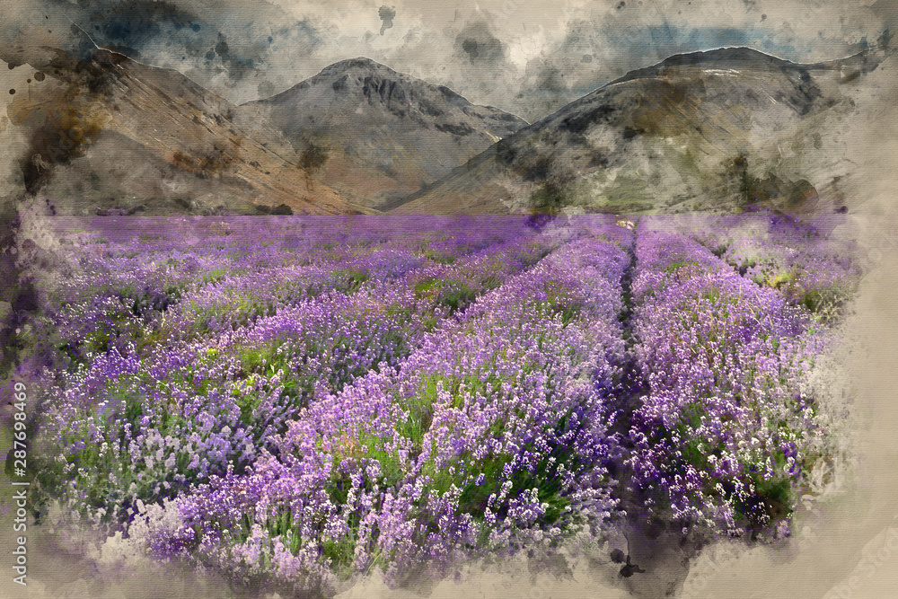 Digital watercolor painting of Beautiful dramatic misty sunrise landscape over lavender field in English countryside with montains in distance