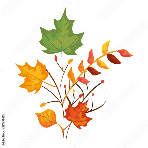 autumn branch and dry maple leafs decoration