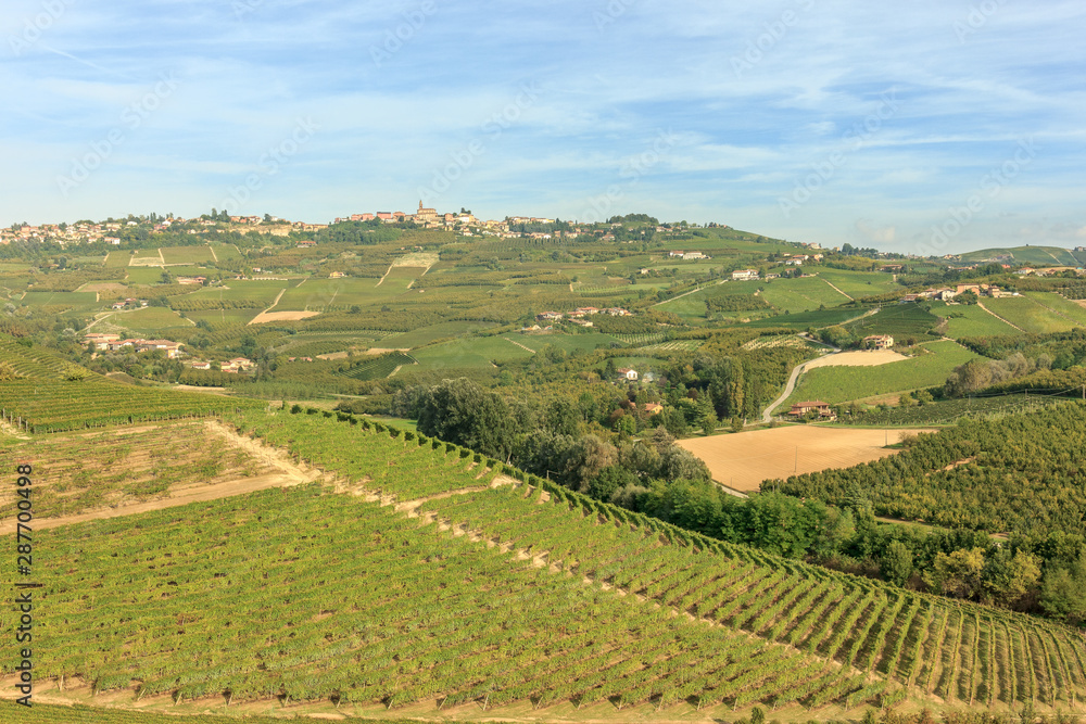 Fototapeta premium colline italiane
