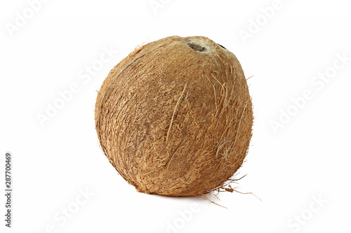 Single of  mature coconut for oil preparing and coconut milk isolated on white background