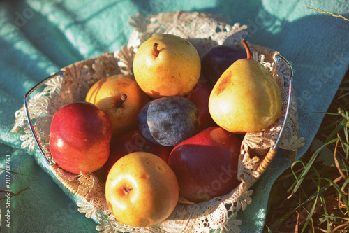autumn fruits lie in a basket on the grass, apples, pears, plums, close-up, autumn picture, still life