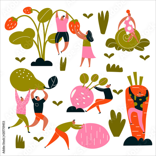 Funny cartoon illustration of harvesting people. Vector collection.