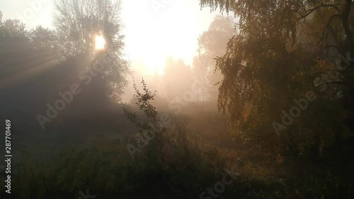 12 Other planet. fabulous sunrise. rays of the sun through branches and fog. Autumn morning 2