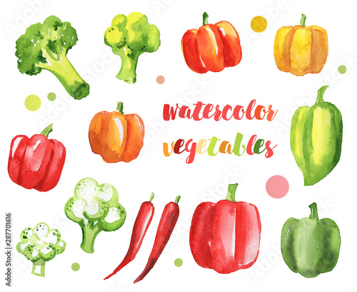 vegetables peppers broccoli cabbage watercolor isolated set multicolored tasty autumn