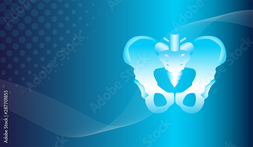 Abstract orthopedics traumatology background. Hip bones structure. Human anatomy scheme. Main pelvic bones - sacrum ilium coccyx pubis ischium. For medical, science and technology, the hospital
