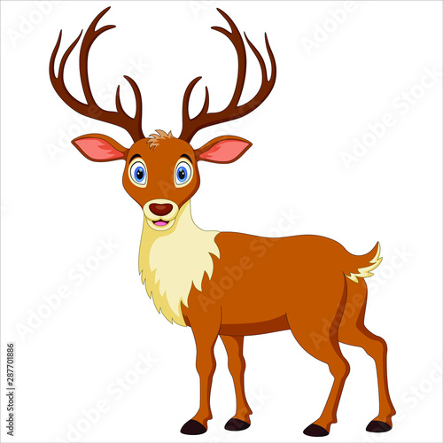 Cute deer cartoon