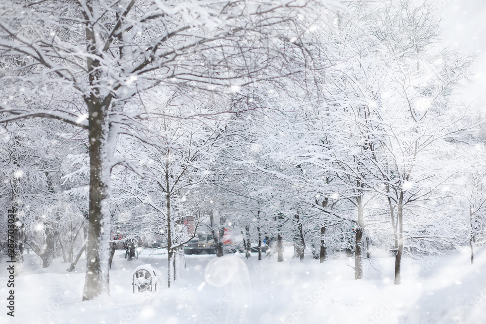 Winter landscape. Forest under the snow. Winter in the park. Winter landscape. Forest under the snow. Winter in the park.