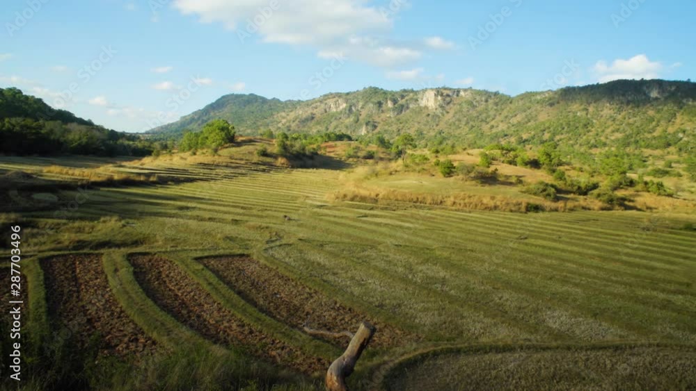 A panoramic view of the Rice fields on tour from Bagan to Inle Lake A panoramic view of the Rice fields on tour from Bagan to Inle Lake