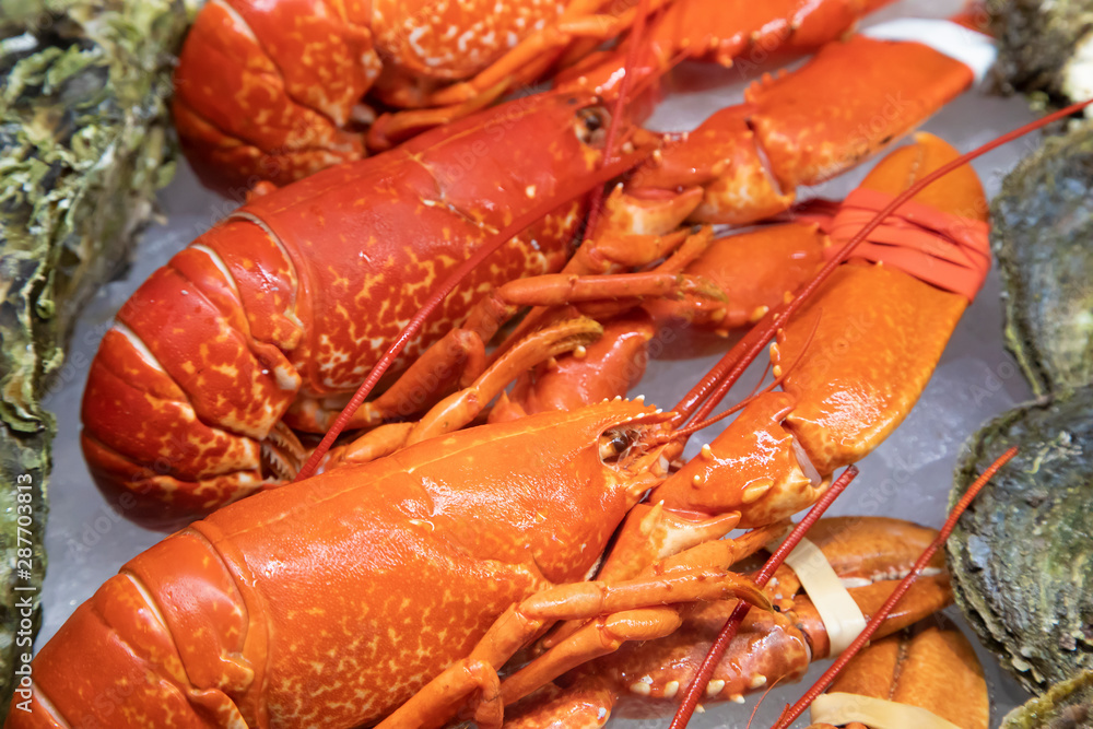 European lobsters on sale in norwegian fish market