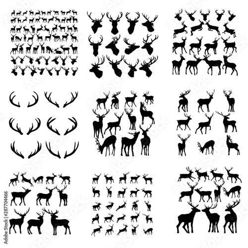 Vászonkép Set of deer