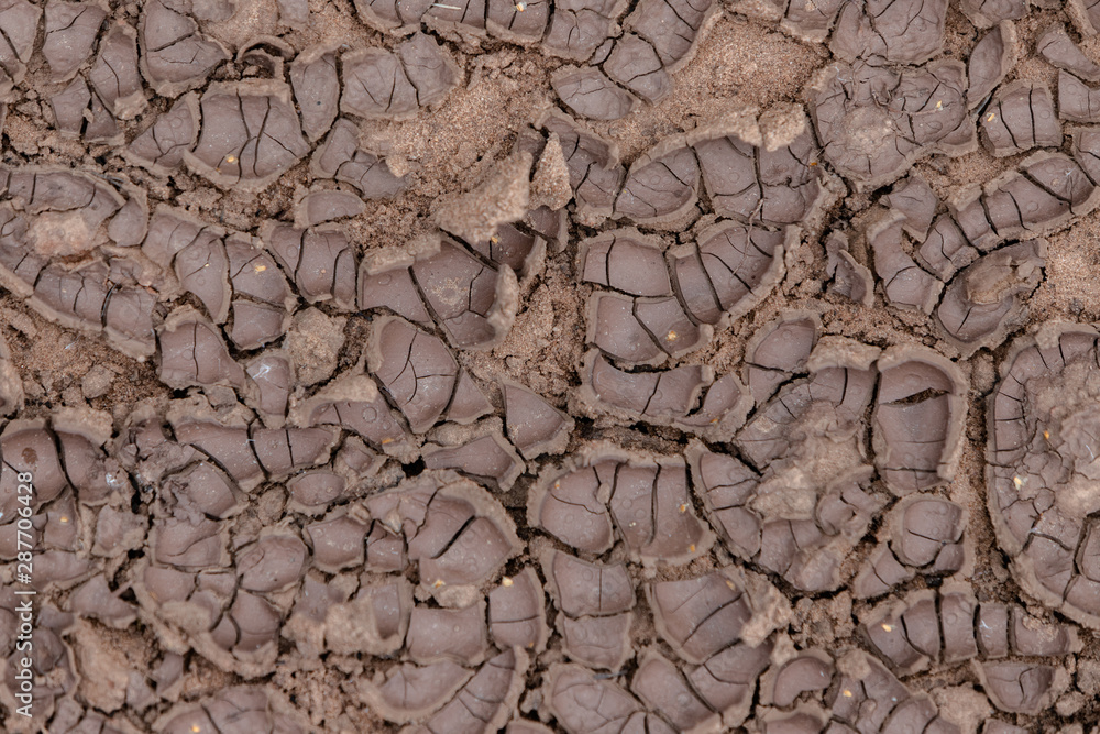 Fototapeta premium The earth is cracked due to a drought. Pieces of land divided by cracks. Textured abstract background for wallpaper.