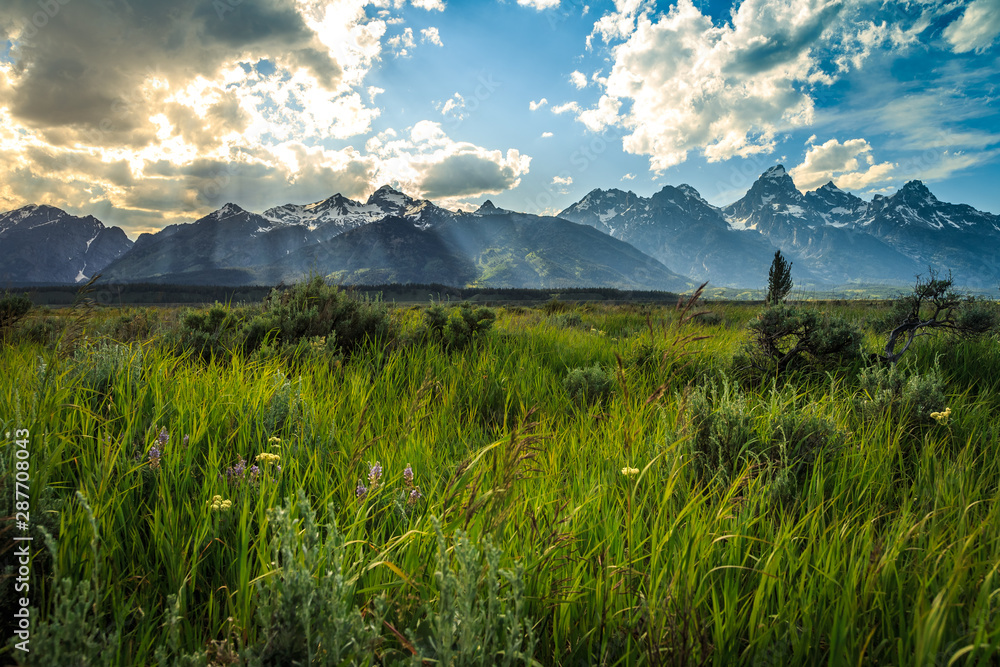 Fototapeta premium Grand Teton Afternoon Light, Grand Teton National Park