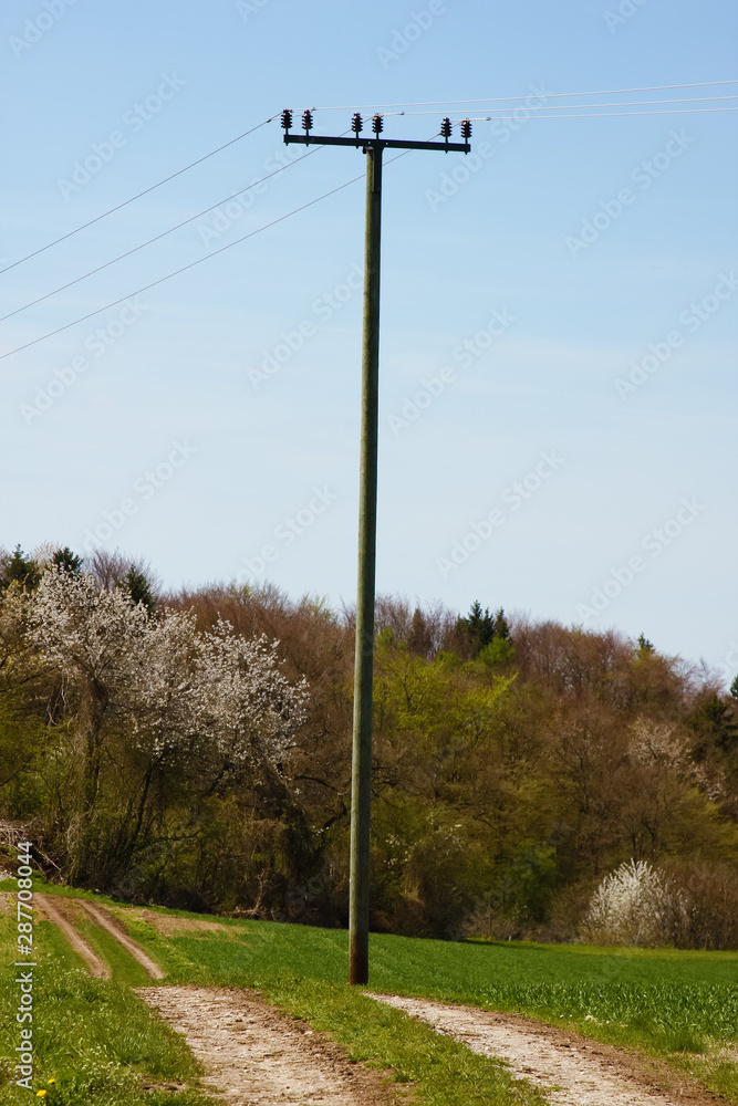 old wooden power pole