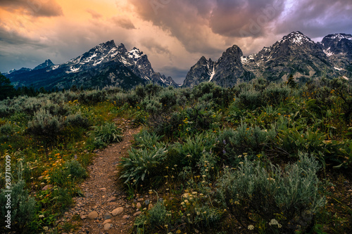 Fototapeta Naklejka Na Ścianę i Meble -  Teton Peaks Sunset, Grand Teton National Park