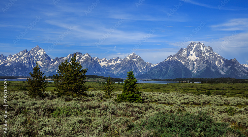 Grand Tetons from Willow Flats