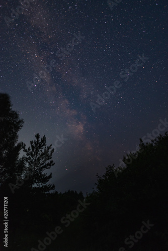 Milky way over the forest summer night © dmitriydanilov62