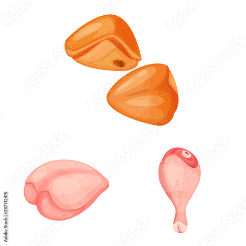 Vector illustration of meat and raw icon. Collection of meat and grilled stock symbol for web.