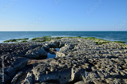 Caspian Sea coast in summer