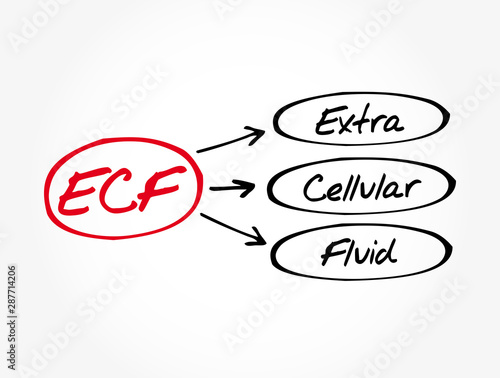 ECF - Extracellular fluid acronym, medical concept background