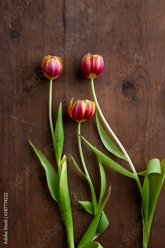 Fresh tulips on wooden table