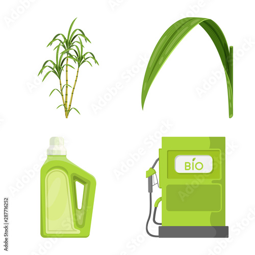 Vector design of sugarcane and cane sign. Set of sugarcane and field vector icon for stock.