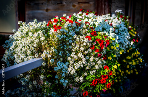 Decorative street bawls with arranged flowers, selective focus