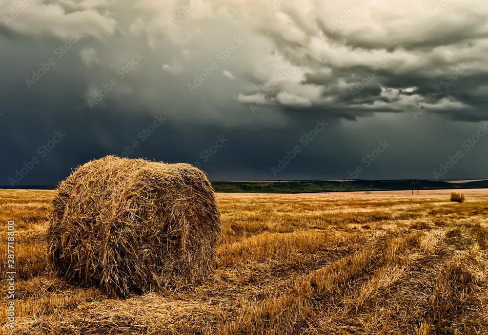 Round sheaf of straw after harvesting on the field and stormy sky.