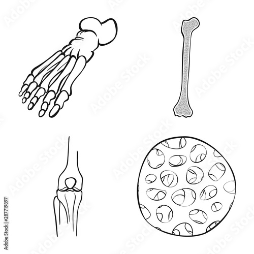 Vector design of medicine and clinic icon. Set of medicine and medical stock symbol for web.