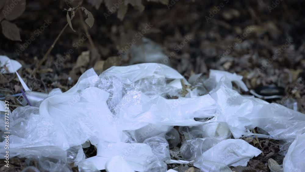 Disposable cups and bags forest ground, environmental pollution, litter landfill Disposable cups and bags forest ground, environmental pollution, litter landfill