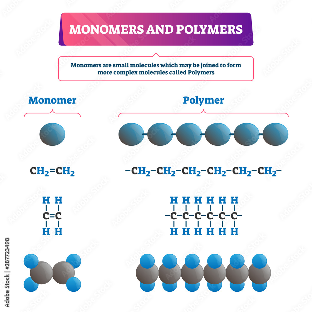 Monomer or polymer vector illustration. Labeled chemical educational