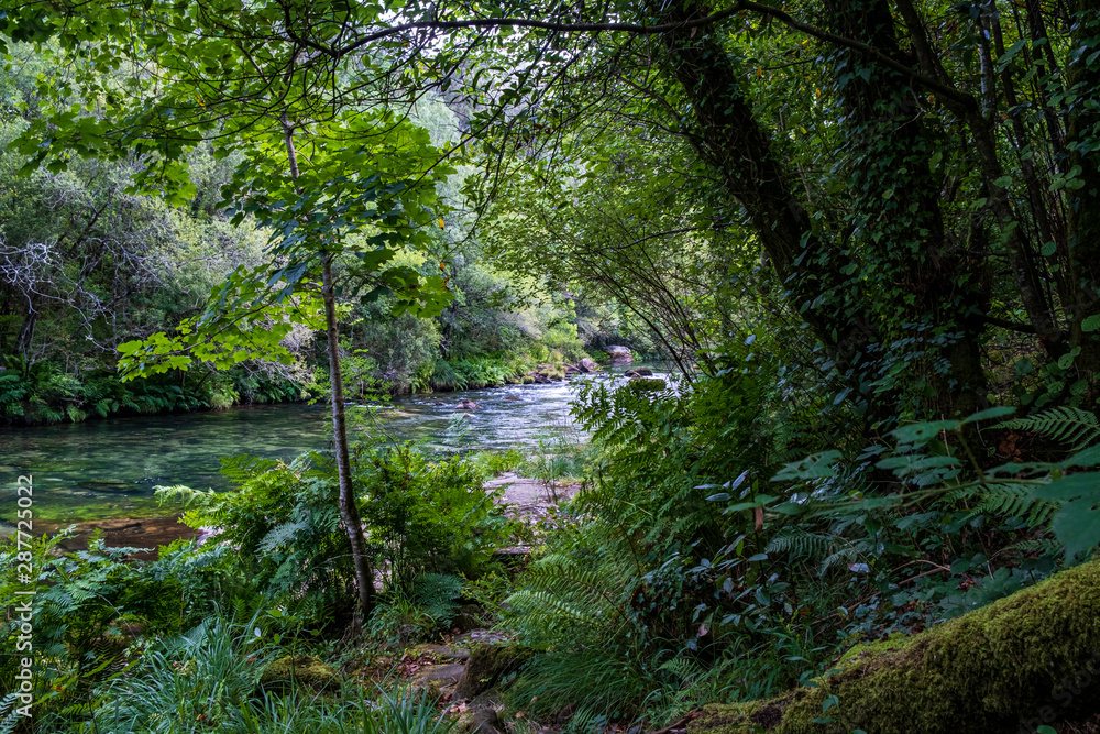 Obraz premium Rivière et montagne 