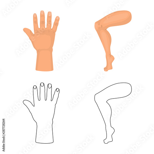 Vector illustration of body and part sign. Set of body and anatomy stock symbol for web.
