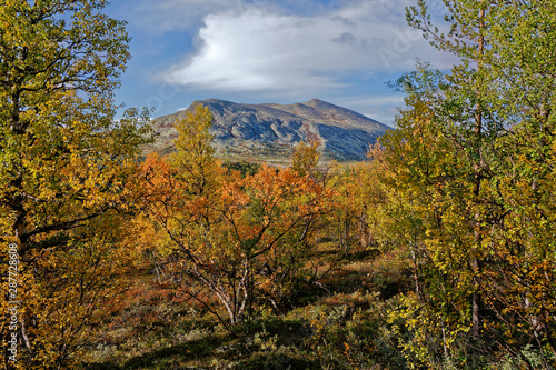 Norway. September in Rondane National Park