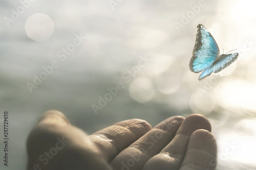 a delicate butterfly flies away from a woman's hand photo