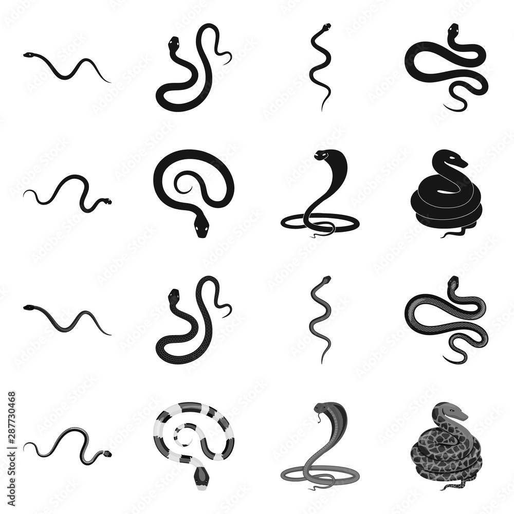 Vector design of mammal and danger sign. Collection of mammal and medicine vector icon for stock. Vector design of mammal and danger sign. Collection of mammal and medicine vector icon for stock.