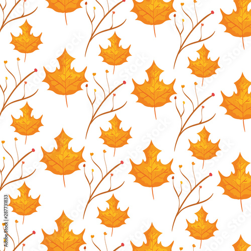 autumn branch and dry maple leafs pattern