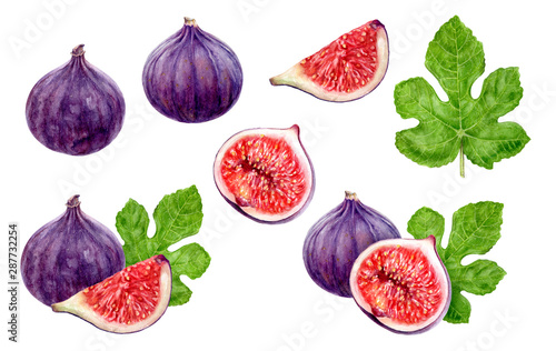 Fig fruit set watercolor isolated on white background photo
