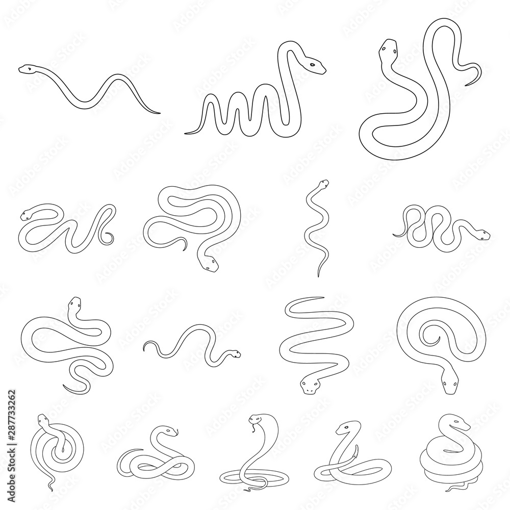 Fototapeta premium Vector design of poison and evil icon. Collection of poison and bite stock symbol for web.