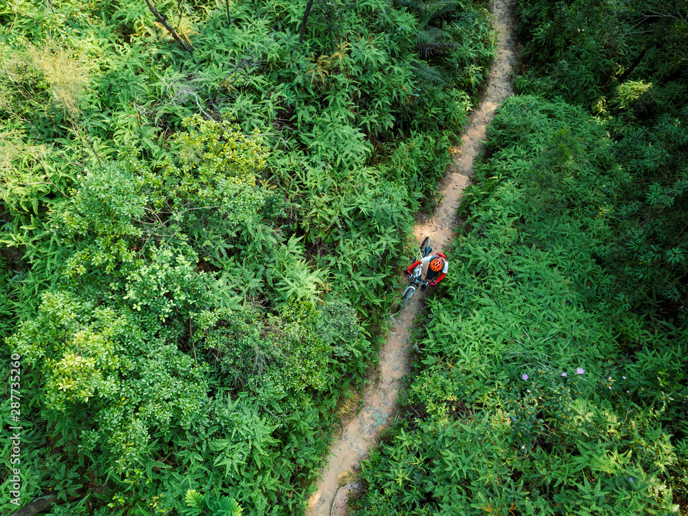 Aerail view of cross country biking woman cyclist with mountain bike walking on tropical rainforest trail Aerail view of cross country biking woman cyclist with mountain bike walking on tropical rainforest trail