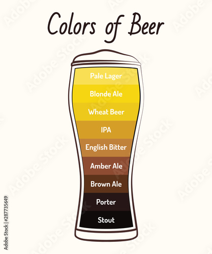 Colors of beer infographic.