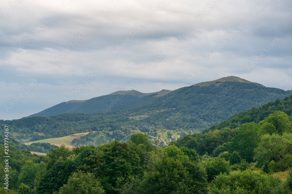 Fototapeta premium Bieszczady, Połonina Wetlińska, widok z przełęczy Wyżniańskiej 