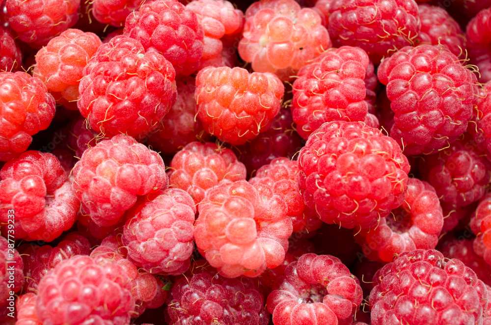 View of ripe forest raspberry close up View of ripe forest raspberry close up