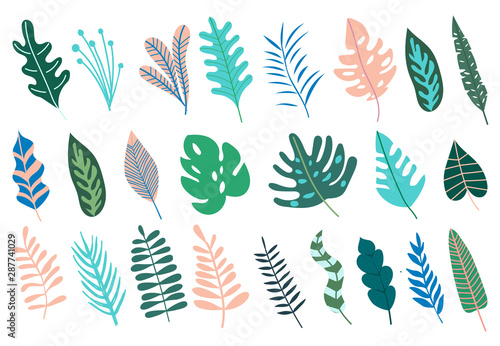 Set with abstract tropical jungle leaves. Collection of trendy foliages. Vector illustration