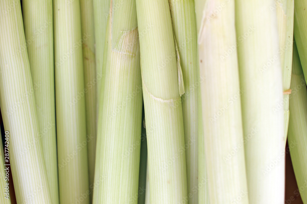Leek. Organic leek pattern. Leek background. Leek. Organic leek pattern. Leek background.