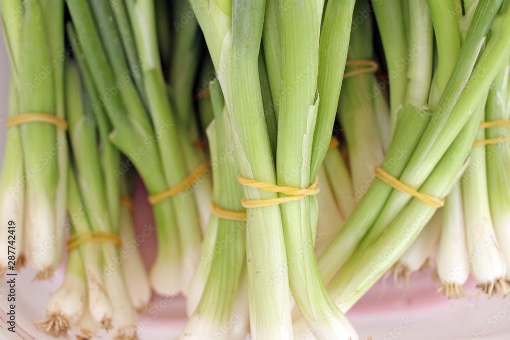 Spring onion. Young green onions. Onion pattern. Spring onion. Young green onions. Onion pattern.