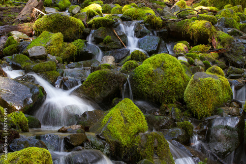 Fototapeta Naklejka Na Ścianę i Meble -  Mountain valley with moss and water