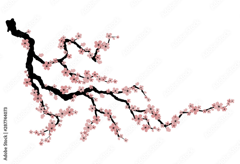 Premium Vector  Cherry blossom tree