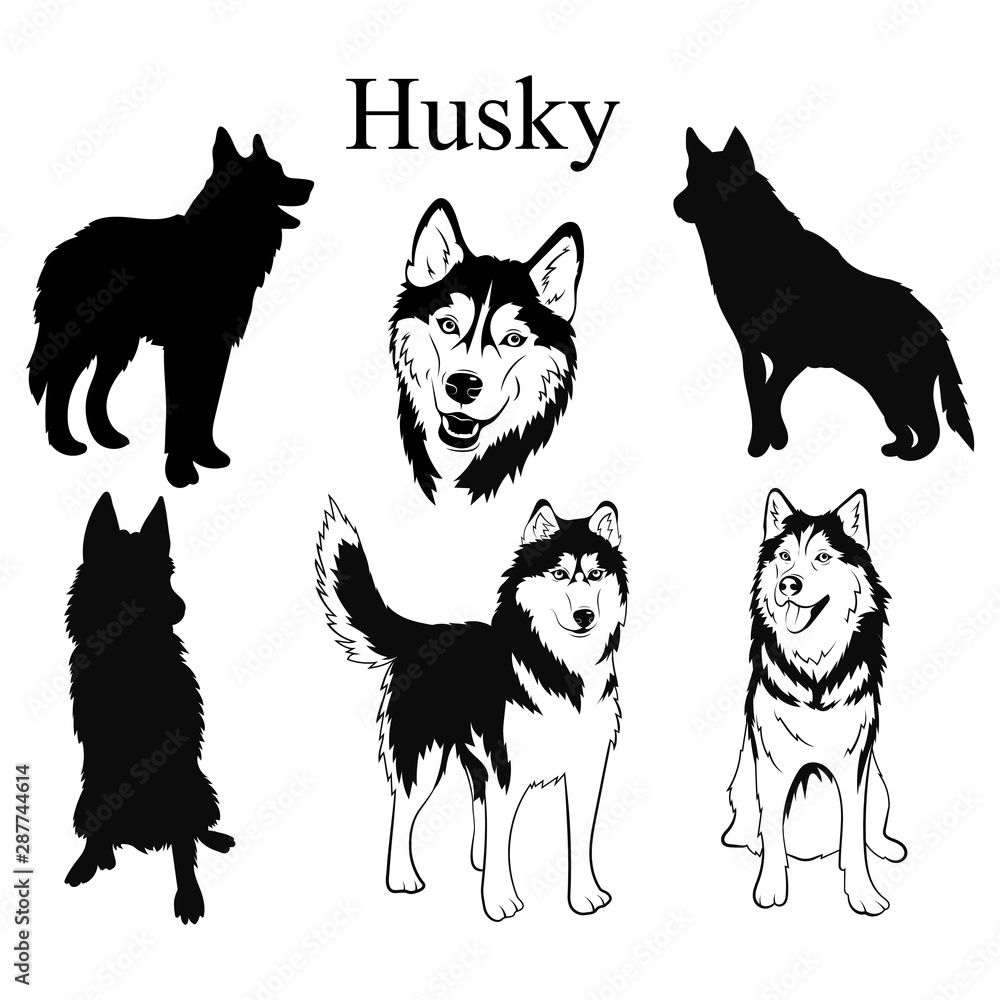 Vecteur Stock Husky set. Collection of pedigree dogs. Black and white  illustration of a husky dog. Vector drawing of a pet. Tattoo. | Adobe Stock