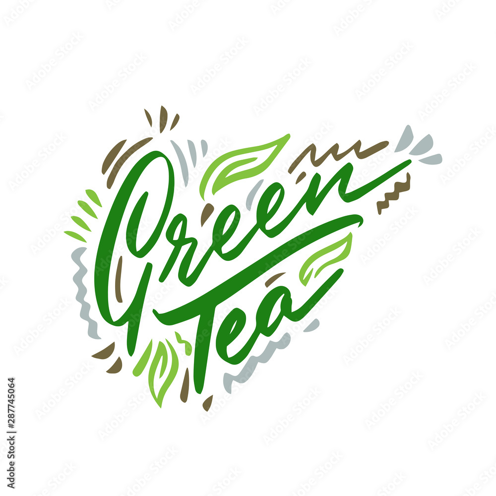 Plakat Green tea hand drawn illustration. Template for card banner and poster for restaurant menu and package. Vector illustration